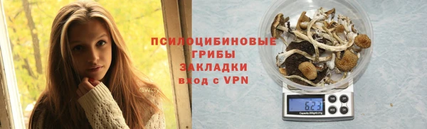 ECSTASY Абаза
