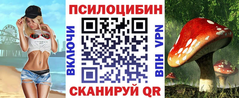 darknet официальный сайт  Фурманов  Псилоцибиновые грибы MAGIC MUSHROOMS  купить наркоту 